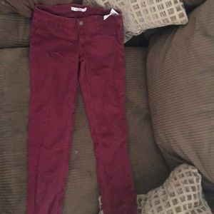 Maroon Hollister jeans